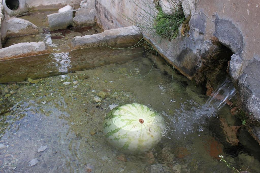 El Molinet Del Governador Guadalest Extérieur photo